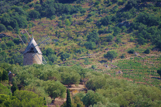 Collioure © Tous droits réservés - Crédit photo Mr Pascal POGGI.