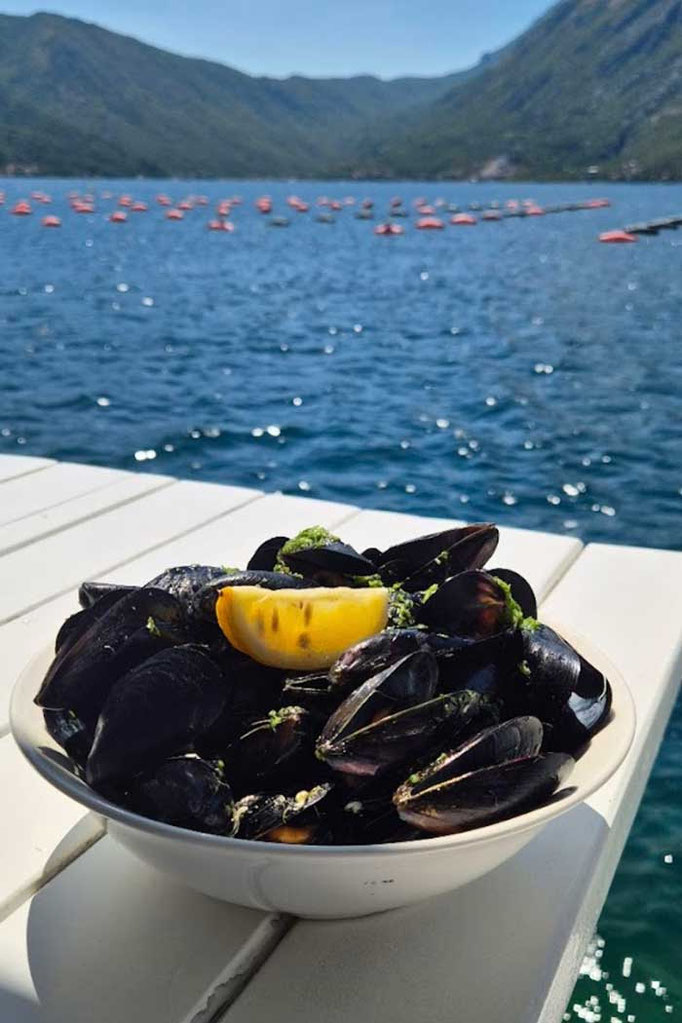 Frische Muscheln Boka Sea Food, Kotor Bucht