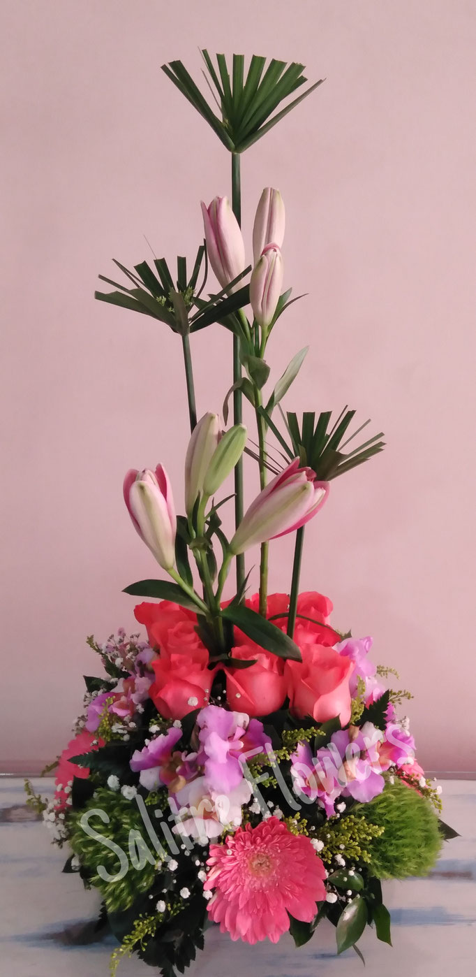 HB13-SEMBRADO CON ROSAS $ 75.000