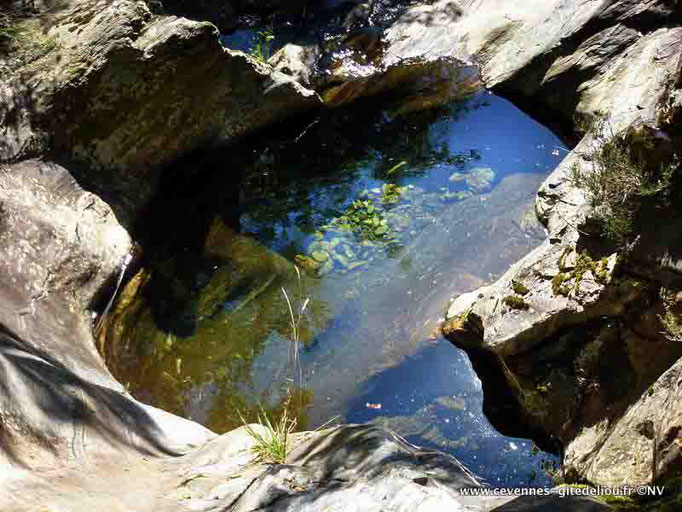 Une vasque du ruisseau à proximité