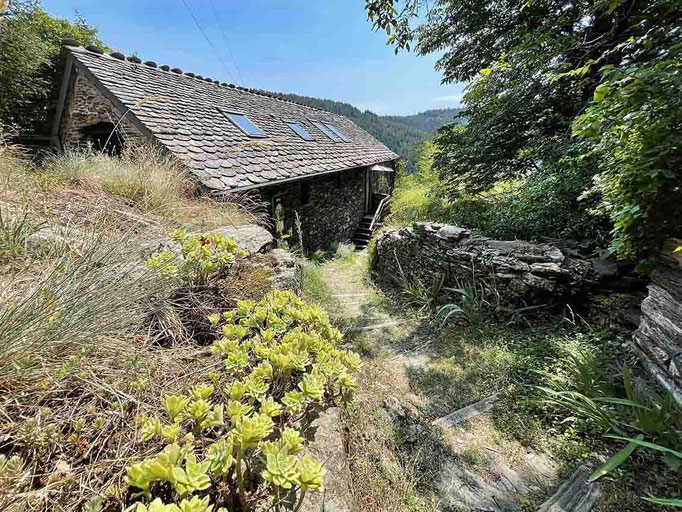 gite de liou Cévennes Lozère