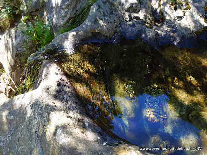 Un des bassins naturels