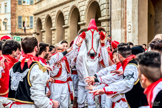 Storie Di Un Attimo • Festival Popolare Della Fotografia 2024 ~ Carnevale Storico di Offida • Bove Finto. © Luca Cameli Photographer