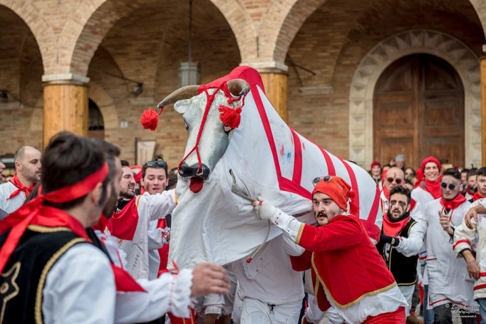 Storie Di Un Attimo • Festival Popolare Della Fotografia 2024 ~ Carnevale Storico di Offida • Bove Finto. © Luca Cameli Photographer