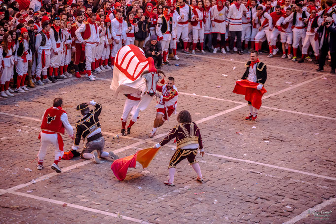 Storie Di Un Attimo • Festival Popolare Della Fotografia 2024 ~ Carnevale Storico di Offida • Bove Finto. © Luca Cameli Photographer