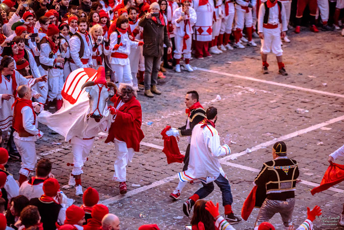 Storie Di Un Attimo • Festival Popolare Della Fotografia 2024 ~ Carnevale Storico di Offida • Bove Finto. © Luca Cameli Photographer