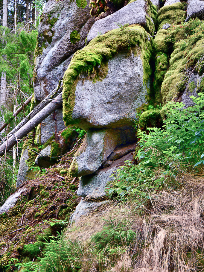 Waldschrat