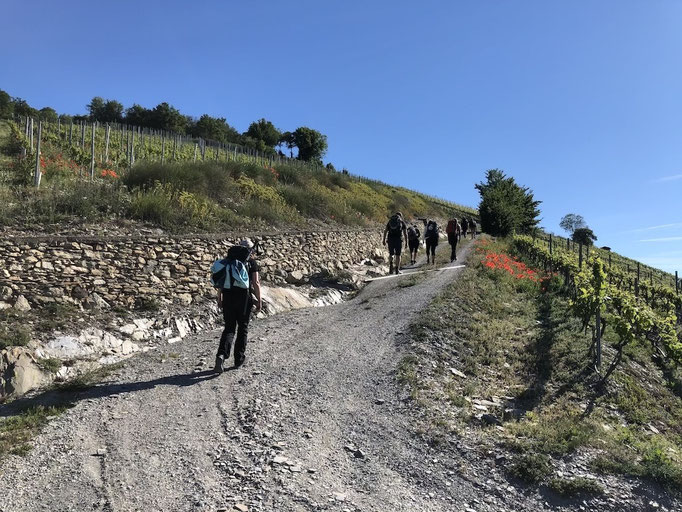 Functional Fitness Langenthal - Turnschober - Wanderweekend Wallis 2019