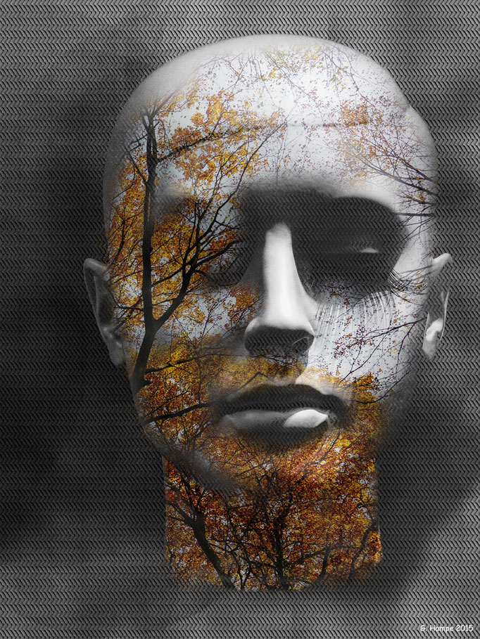 The silver head in the autumn