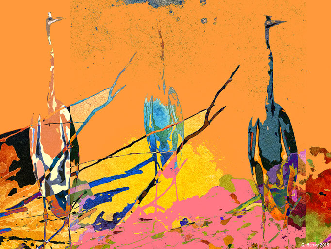 Three herons