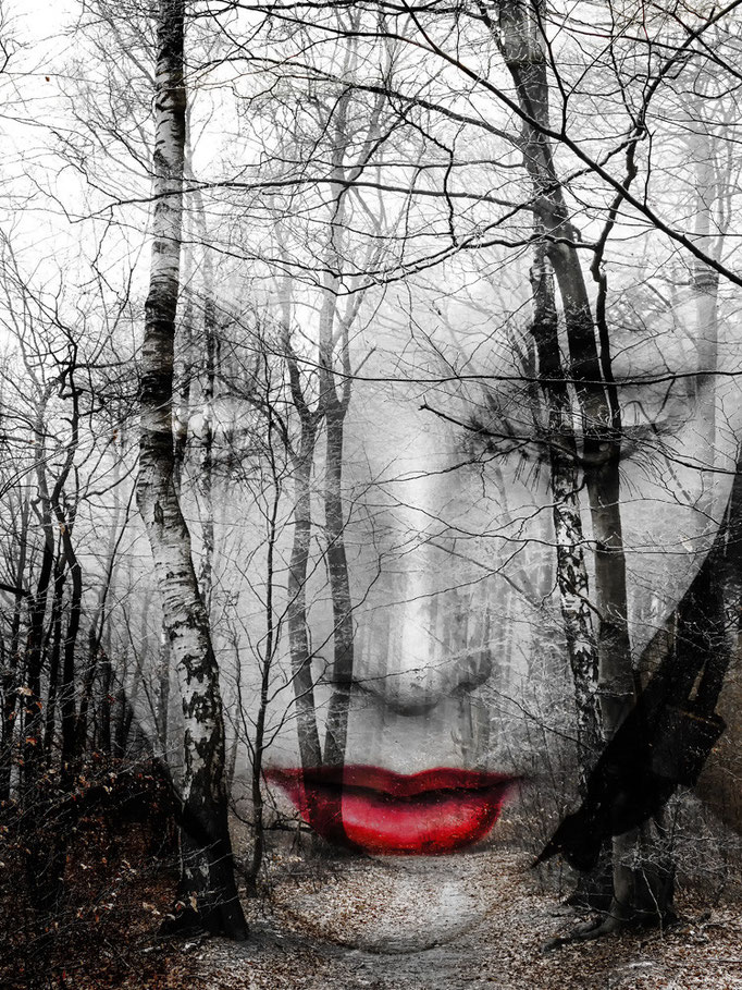 The face in the forest