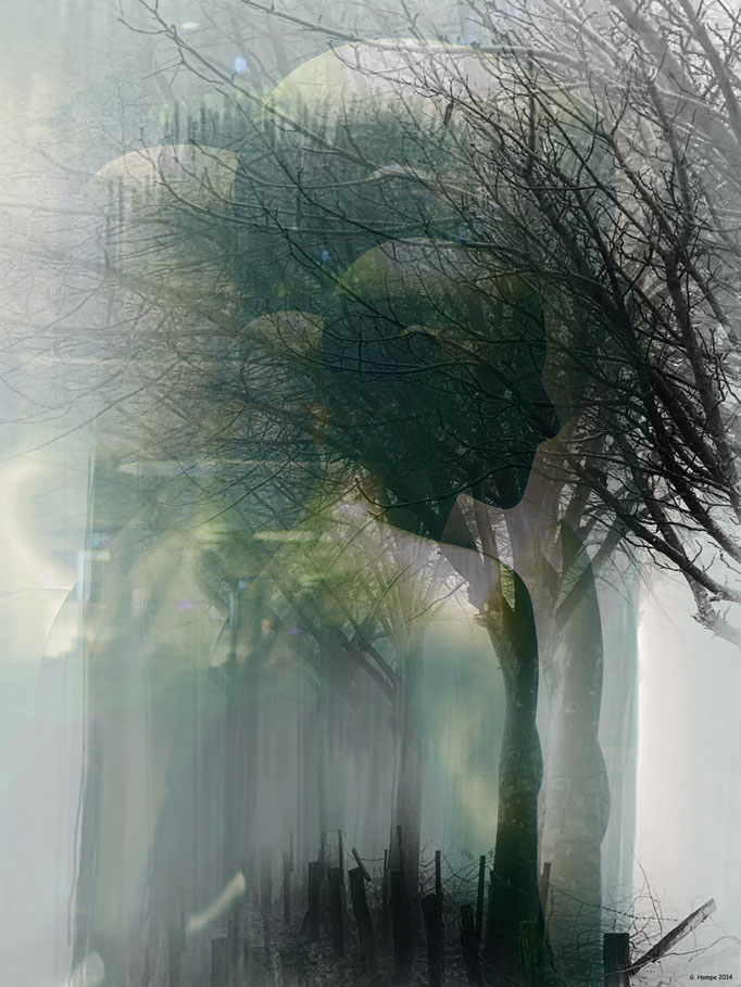Men and trees