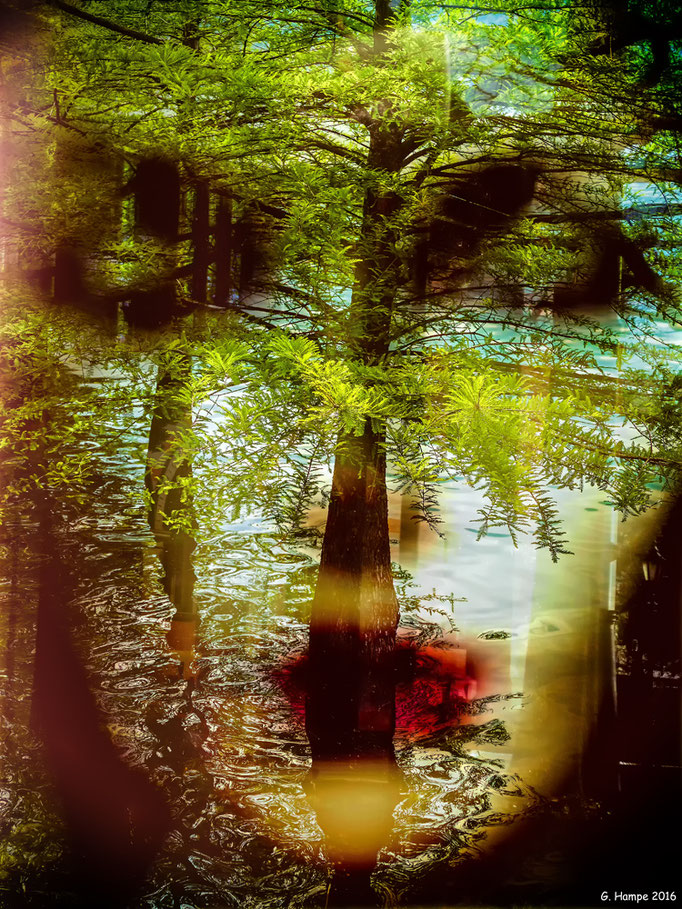 Inside the water