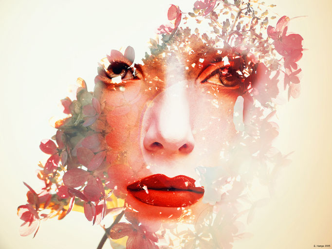 The woman with the hydrangea