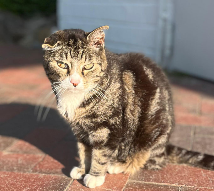 Oskar