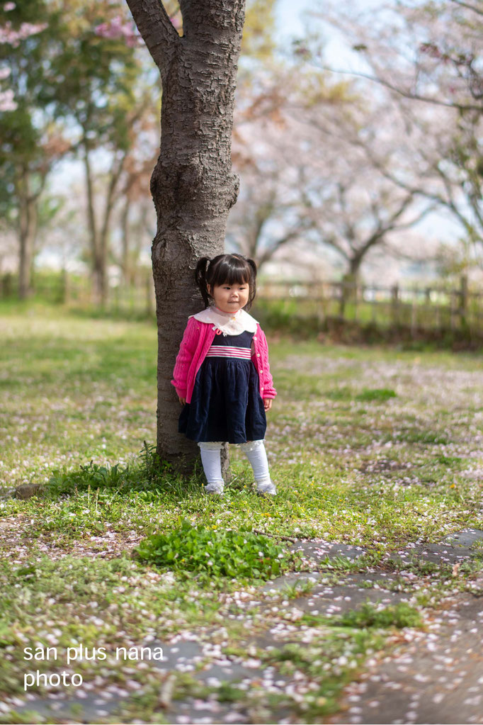 桜とお誕生日 直方市の公園