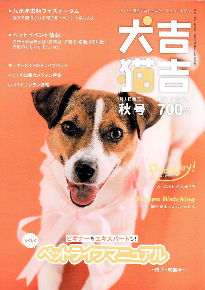 犬吉猫吉秋号 出張カメラマン特集（P31に掲載）