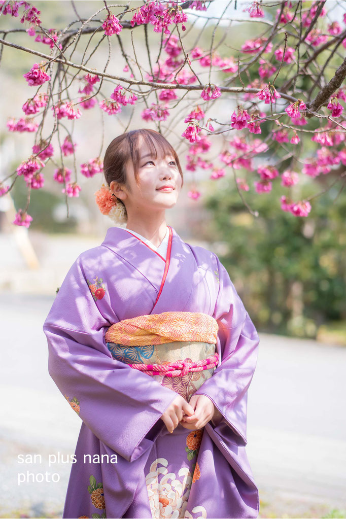 ご成人記念 桜の木の下で