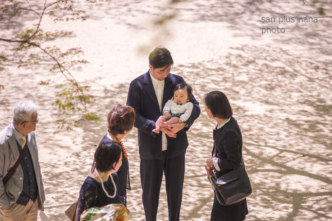 桜の季節 お宮参り 太宰府竈門神社