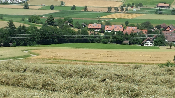 wo hat man beim arbeiten so schöne Aussicht....