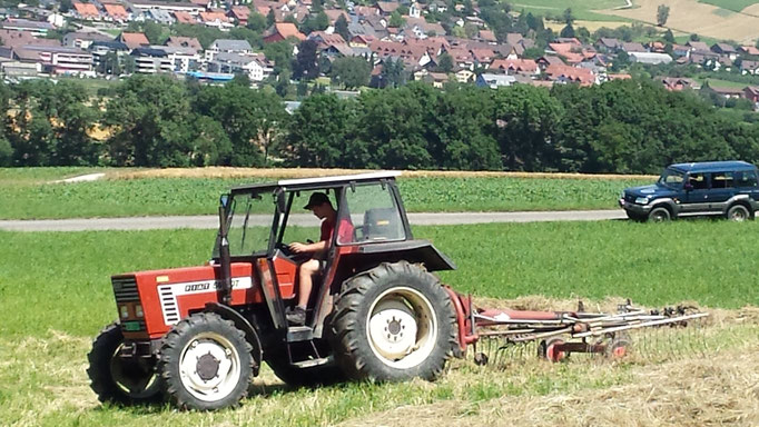 Cédi bei der Arbeit..