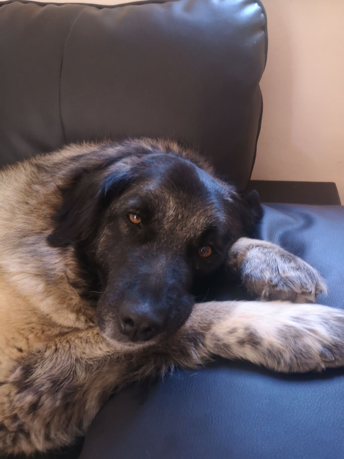Meine Beste