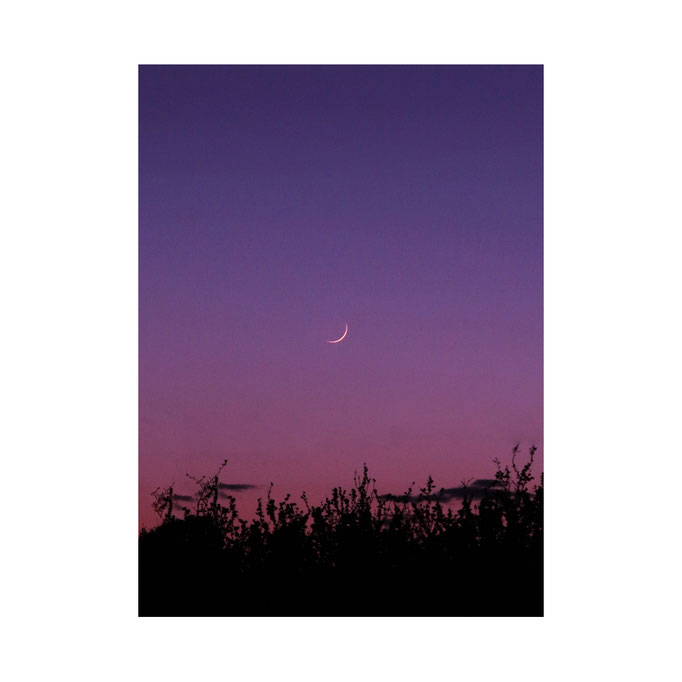 Waxing Cresent Moon