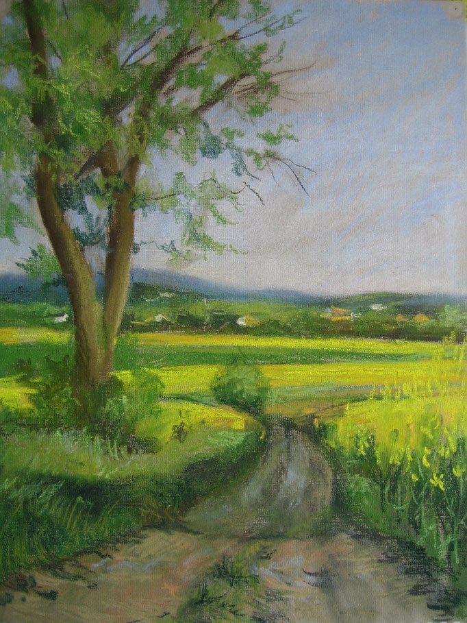 Chemin pastel