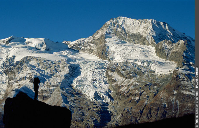 Vue sur la face N du Mont Pourri et les Glaciers Sud et Nord de la Gurraz