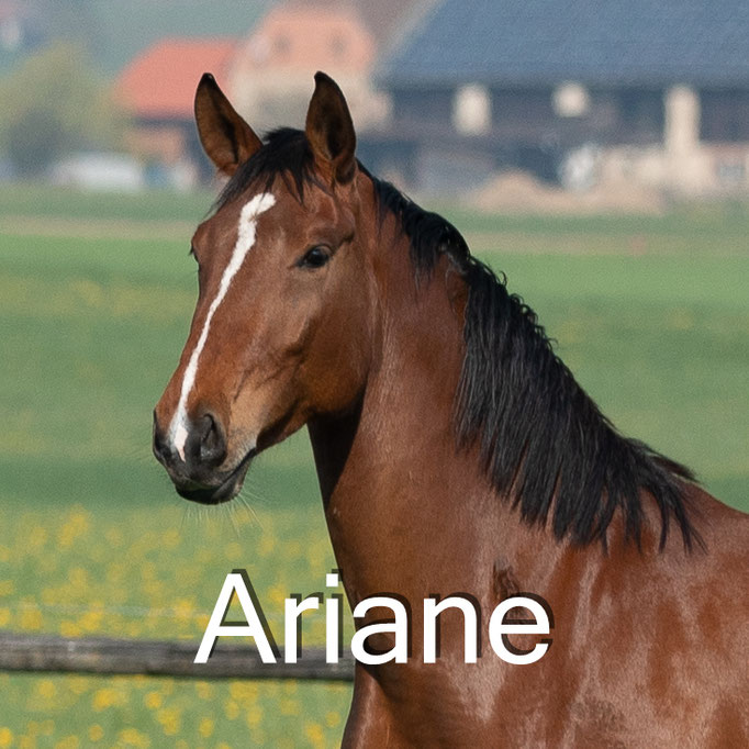 Ariane-B