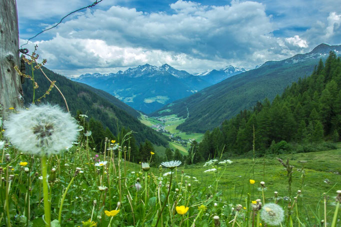 Herrlicher Panormablick auf das idyllische Bergdorf Weißenbach im Ahrntal - Südtirol