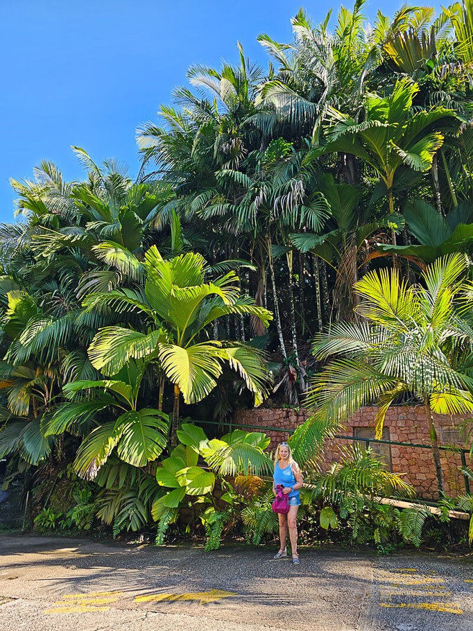 Eingang Vallee de Mai Praslin Seychellen