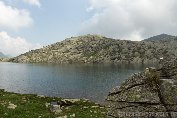 Langsee
