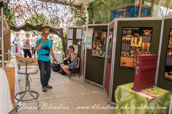 Fête du miel et des insectes