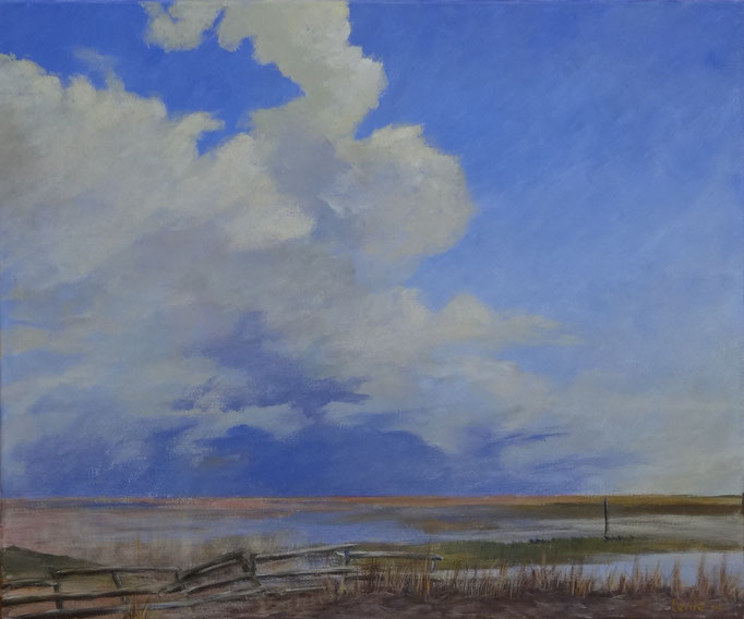 Het wad 1