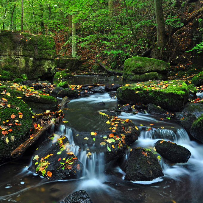 Holzbachschlucht