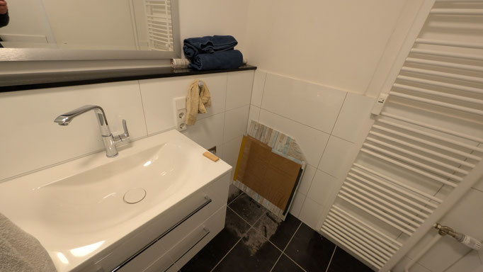 Waschtisch (Armatur hansgrohe), Waschmaschinenanschluss, Handtuchheizung