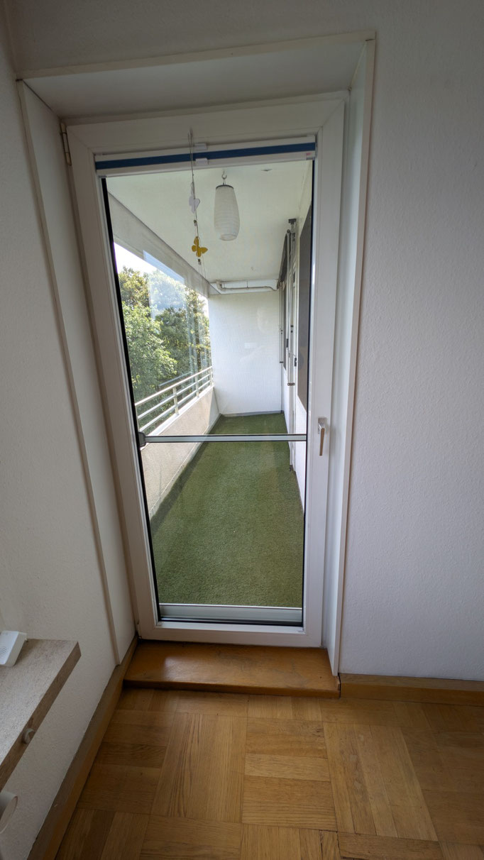 Austritt zum Süd-Balkon vom Wohnzimmer