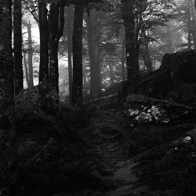 Thomashütte, Weg zur Schutzhütte unterhalb des Kandelgipfels