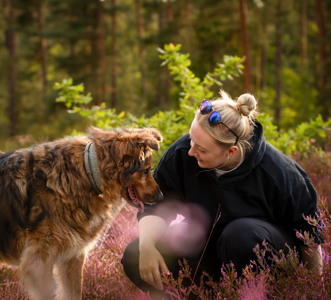 Hundefotografie; Hund und Mensch in der Heide