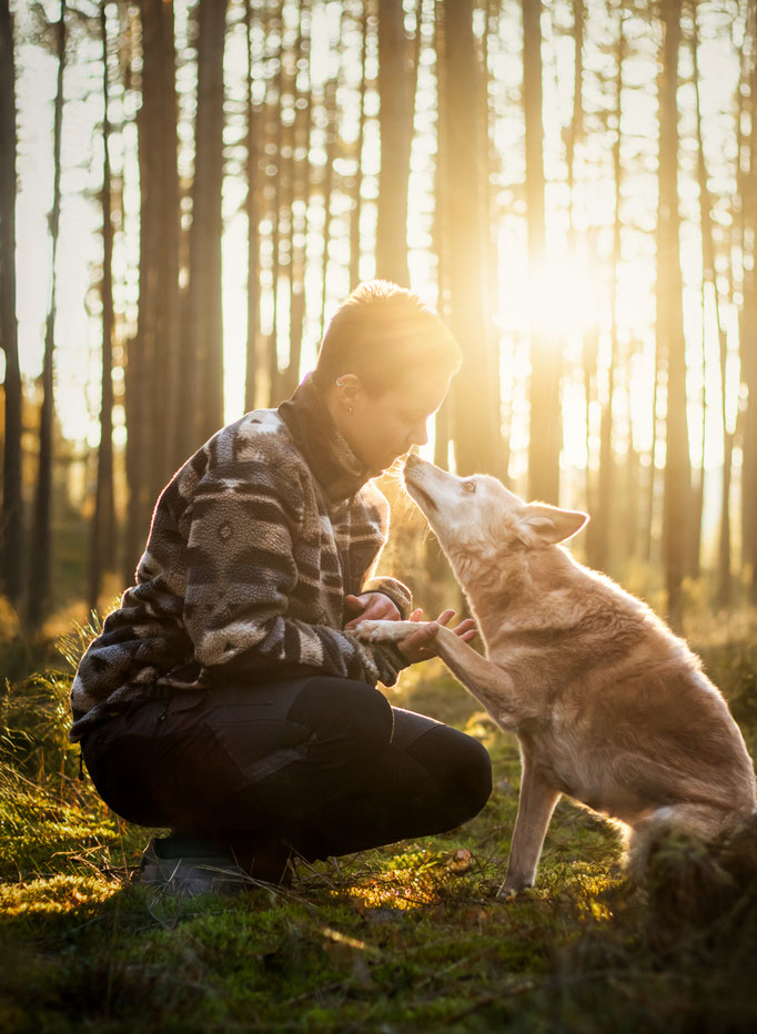 Hundefotografie; Hund und Mensch bei Sonnenuntergang