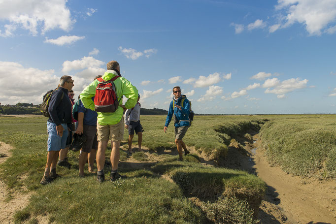 Traversée de la baie de Somme avec un guide