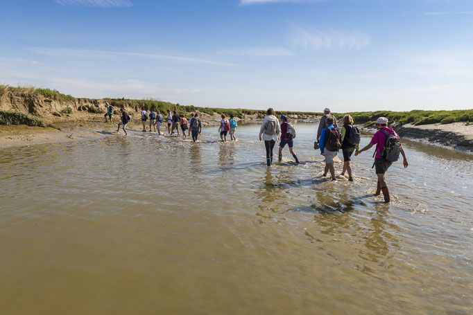 Traversée de la baie de Somme avec un guide