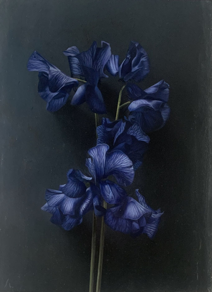 Mute | 2020 | 333×242㎜ | Oil on panel |個人蔵
