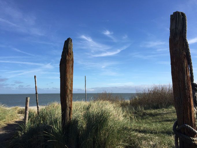 Dünen und mehrere Stämme, Symbole für systemisches Arbeiten für Paartherapie und Familientherapie in Gladbeck