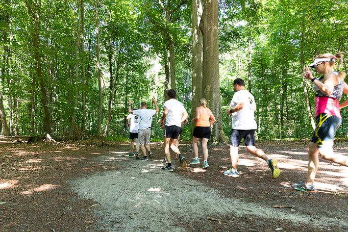 Darmstädter Lauf-Treff, 7-Hügel-Lauf Bild: Christa Daum