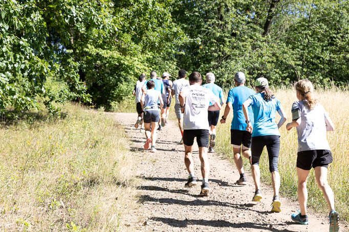 Darmstädter Lauf-Treff, 7-Hügel-Lauf Bild: Christa Daum