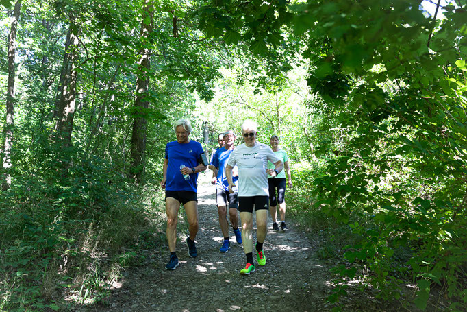 Darmstädter Lauf-Treff, 7-Hügel-Lauf Bild: Christa Daum