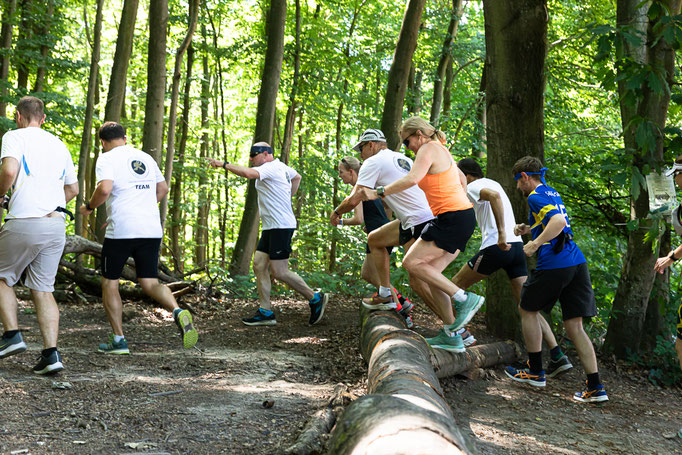 Darmstädter Lauf-Treff, 7-Hügel-Lauf Bild: Christa Daum