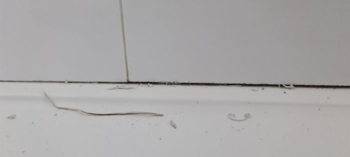 BTK Tegelzetters Venlo - kitwerk vervangen badkamer te Kessel